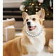 thumbnail image 3 of Collar para perros KUDES Chunky Pearl para perros medianos y grandes, 3 of 5
