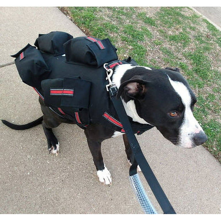 CWS Weighted Dog Vest Flotation Vest XLarge 20 Lbs