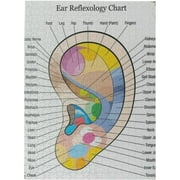 Ear Reflexology Colour Coded Anatomy Organ Massage Chart Funny Novelty 500 Piece Jigsaw Puzzle for Adults 500 Pc Gifts Jigsaw Puzzle 20.5x15 Inch