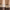 Beige_Brown, variant on Lush Decor Terra Stripe Shower Curtain, 72" x 72", Beige, Single