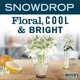 thumbnail image 2 of Limpiador multisuperficie Mrs. Meyer's Clean Day Snow Drop, 500 ml, 2 of 9