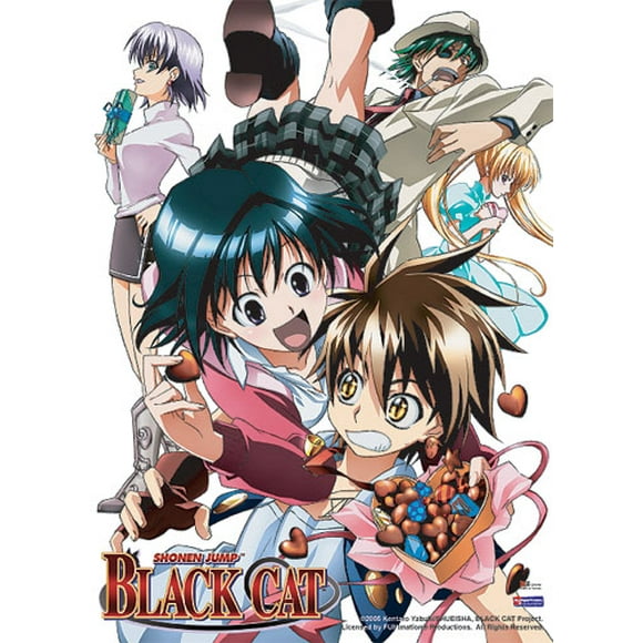 Wall Scroll - Black Cat - Chocolates Fabric Poster New Anime Gifts Art ge9765