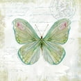 thumbnail image 2 of Robinson, Carol 20x20 White Modern Wood Framed Museum Art Print Titled - Garden Moth, 2 of 4