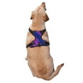 thumbnail image 3 of Gaeub Neon Gradient Blue Gaeub Neon Gradient Blue No Pull Dog Harness, Secure and Adjustable Pet Vest for Outdoor Activities - X-Large, 3 of 8