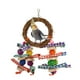 thumbnail image 5 of Parrot Rattan Bamboo Toy, Exercise Birds Encourage Chewing Nibbling Pet Cage Decoration Parrot Chewing Hanging Toy Safe Materials For Small Birds For Finches ANGGREK Otros, 5 of 8