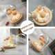 thumbnail image 4 of Handcrafted Jellyfish Shell Night Light Perfect Shell Lamp Gift, 4 of 5