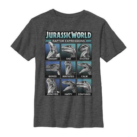 Boy's Jurassic World Velociraptor Expressions  Graphic Tee Charcoal Heather Medium