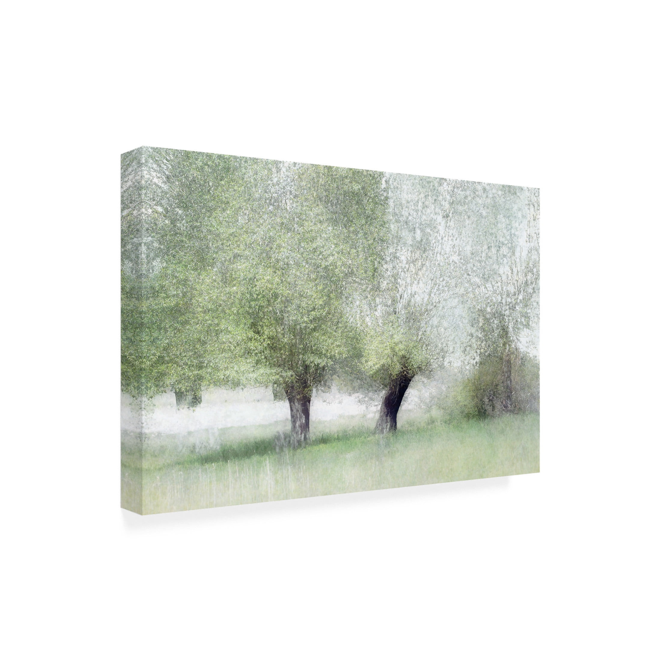 Canvas Wall Art - Nel Talen 'Young Green' Wall Art for Living Room, Bedroom, or Office D?cor by Trademark Fine Art - 19 x 12 Inches