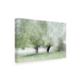 thumbnail image 4 of Canvas Wall Art - Nel Talen 'Young Green' Wall Art for Living Room, Bedroom, or Office D?cor by Trademark Fine Art - 19 x 12 Inches, 4 of 4