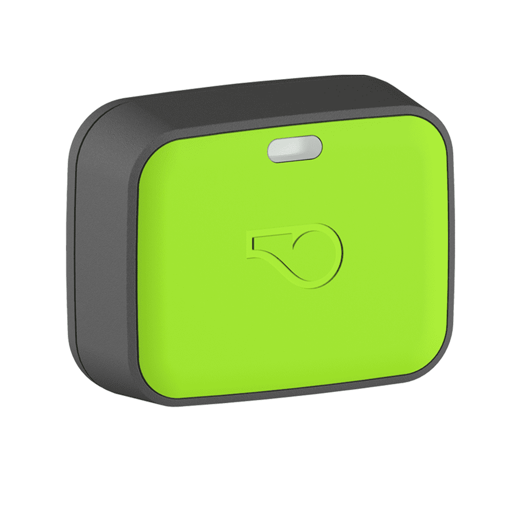 Whistle go explore health & cheap location tracker for cats
