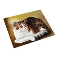 thumbnail image 1 of Persian Cat Blanket BLNKT48117, 1 of 3