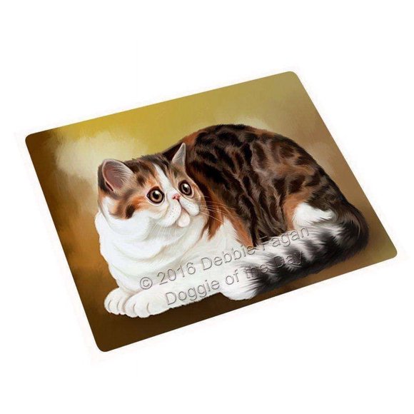 Persian Cat Blanket BLNKT48117