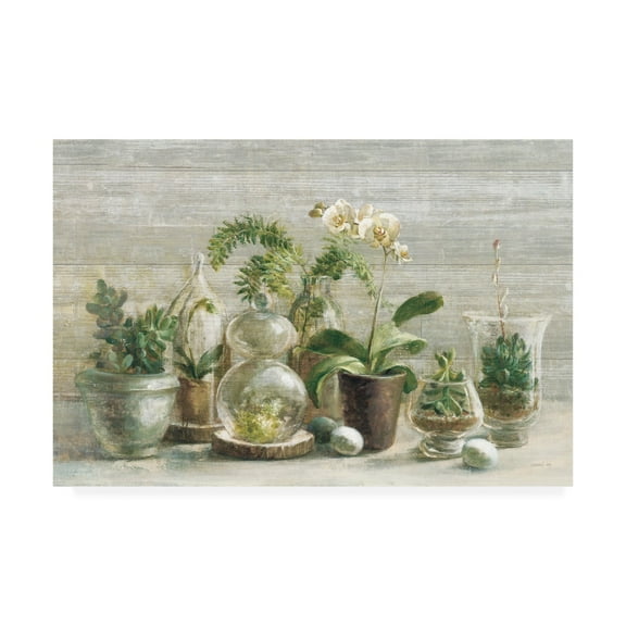 Trademark Fine Art 'Greenhouse Orchids on Wood v2' Canvas Art by Danhui Nai