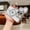 Silver, variant on Glitter Bling Case for iPhone 17e/ iPhone 16e, Diamond Clear Back Cover with Camera Lens Protector Compatible with Magsafe Shockproof Full Body Protective Case for iPhone 17e/ iPhone 16e, Silver