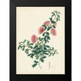 thumbnail image 2 of Unknown 18x24 Black Modern Framed Museum Art Print Titled - Splendors of Botany X, 2 of 5