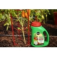 thumbnail image 4 of Miracle-Gro Shake 'n Feed Granules Plant Food 4.5 lb, 4 of 7
