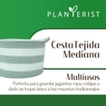 thumbnail image 2 of Planterist Cesta Organizadora Mediana Tejida – Algodón Lavable, Plegable y Portable – Multiusos 30x18.5 cm para Almacenaje, Decoración y Ropa Sucia (Santa Catarina), 2 of 9