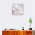 thumbnail image 3 of Cuadro Decorativo | Fine Art Tj | Resumen Mineral Plateado Y Gris Por Tara Reed - 127 x 127 cm, 3 of 4