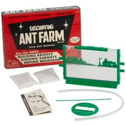Vintage Ant Farm