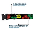 thumbnail image 5 of Buckle-Down Pet Collar, Dog Collar Plastic Buckle, Hibiscus Close Up Black Green Yellow Red, 8.5 to 12 Inches 0.5 Inch Wide, 5 of 8