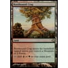 - Rootbound Crag - Premium Deck Series: Slivers - Foil, A single individual card from the Magic: the Gathering (MTG) trading and collectible card game.., By Magic: the Gathering