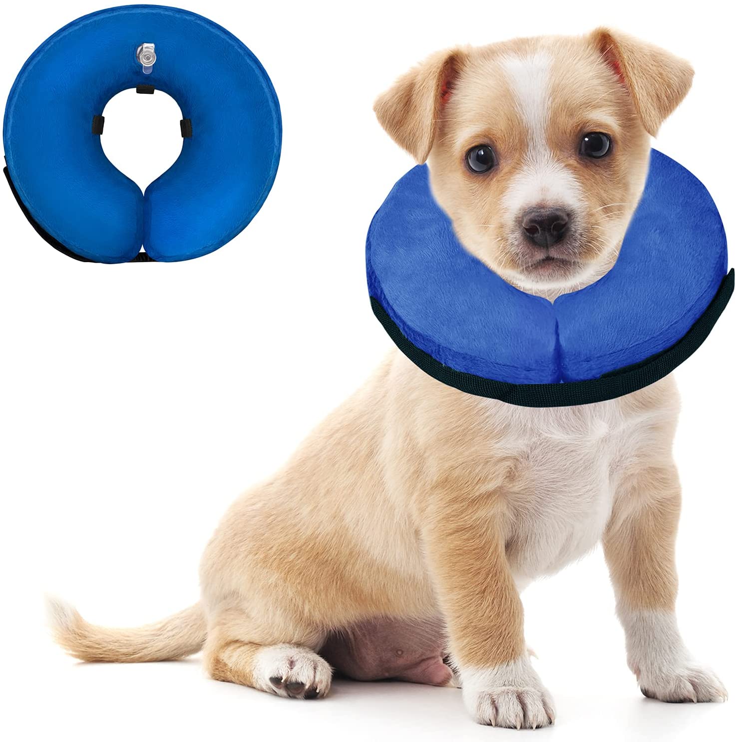 Can Dogs Sleep With Cone On