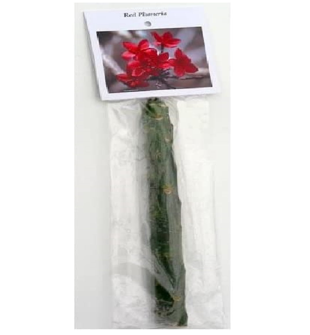 Hawaiian Tropical Red Plumeria Live Plants Cutting, Full Sun