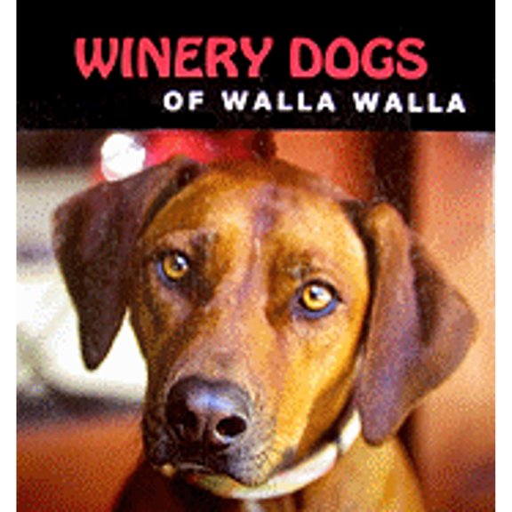 Winery Dogs of Walla Walla (Hardcover) by Barbara Whatley, Tim Hall