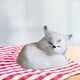 thumbnail image 2 of Figura de peluche de animal dormido simulado, vitrina para juguetes, mesa, decoración del hogar, muñeco de peluche para regalo de hotel Blanco, 2 of 9