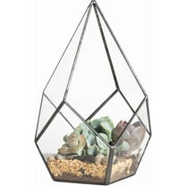 NCYP Geometric Glass Terrarium Planter - 5.5 x 5.5 x 9 Inches - Diamond Shape Flower Pot for Succulent Air Plant - Home, Office Desktop Decoration Terrarium, Black (No Plants
