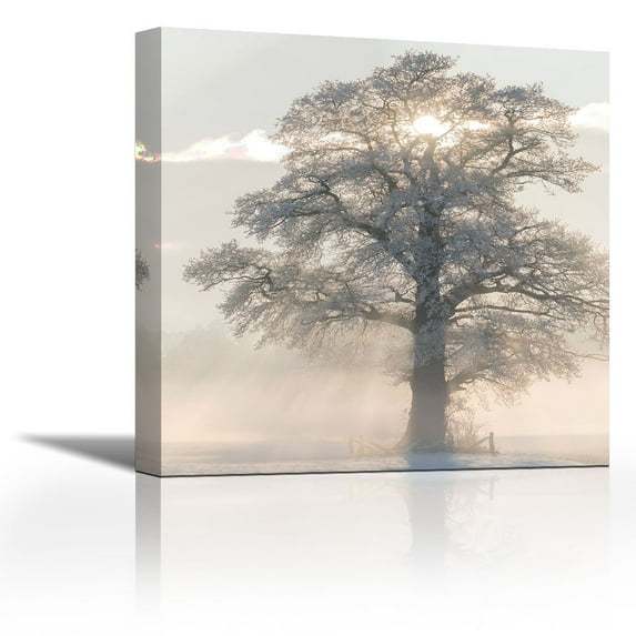 Winter King - Contemporary Fine Art Giclee on Canvas Gallery Wrap - wall décor - Art painting - 27 x 27 Inch - Ready to Hang