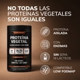 thumbnail image 3 of Beyond Vitamins Proteína Vegetal Aislada (Arroz y Chícharo) - Chocolate, 24.7g Proteína (496g), 3 of 9
