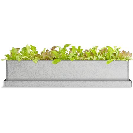 Lettuce Windowsill Grow Box
