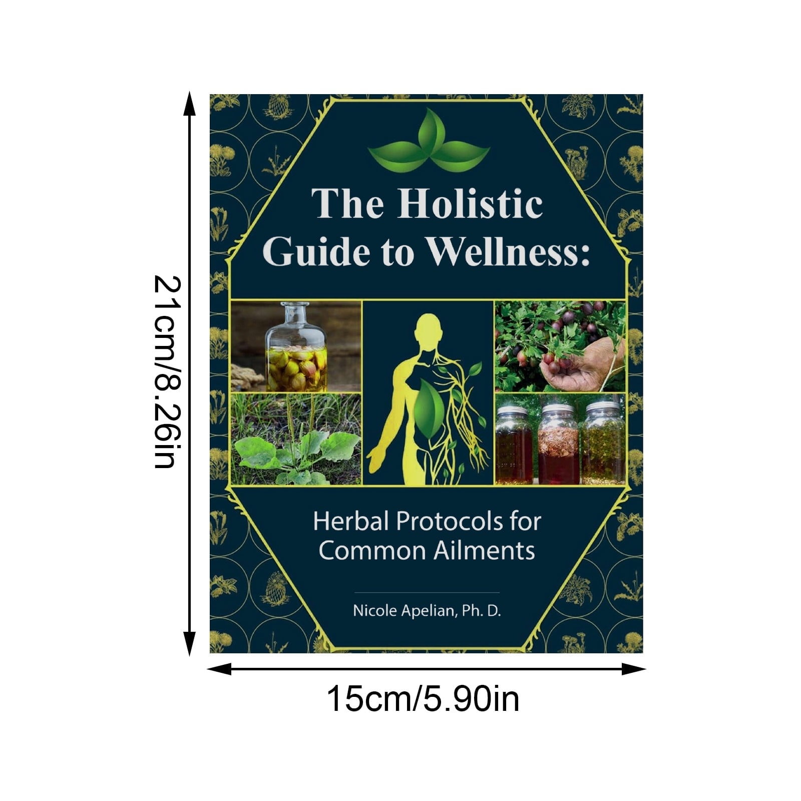 The Holistic Guide To Wellness:Herbal Protocols For Common Ailments ...