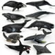 thumbnail image 1 of Juego de figuras de animales marinos de 9 piezas de juguetes realistas de PVC para la vida marina, 1 of 1