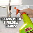 HOME ARMOR Mildew Stain Remover Bleach Free Cleaner Spray 32 ounce