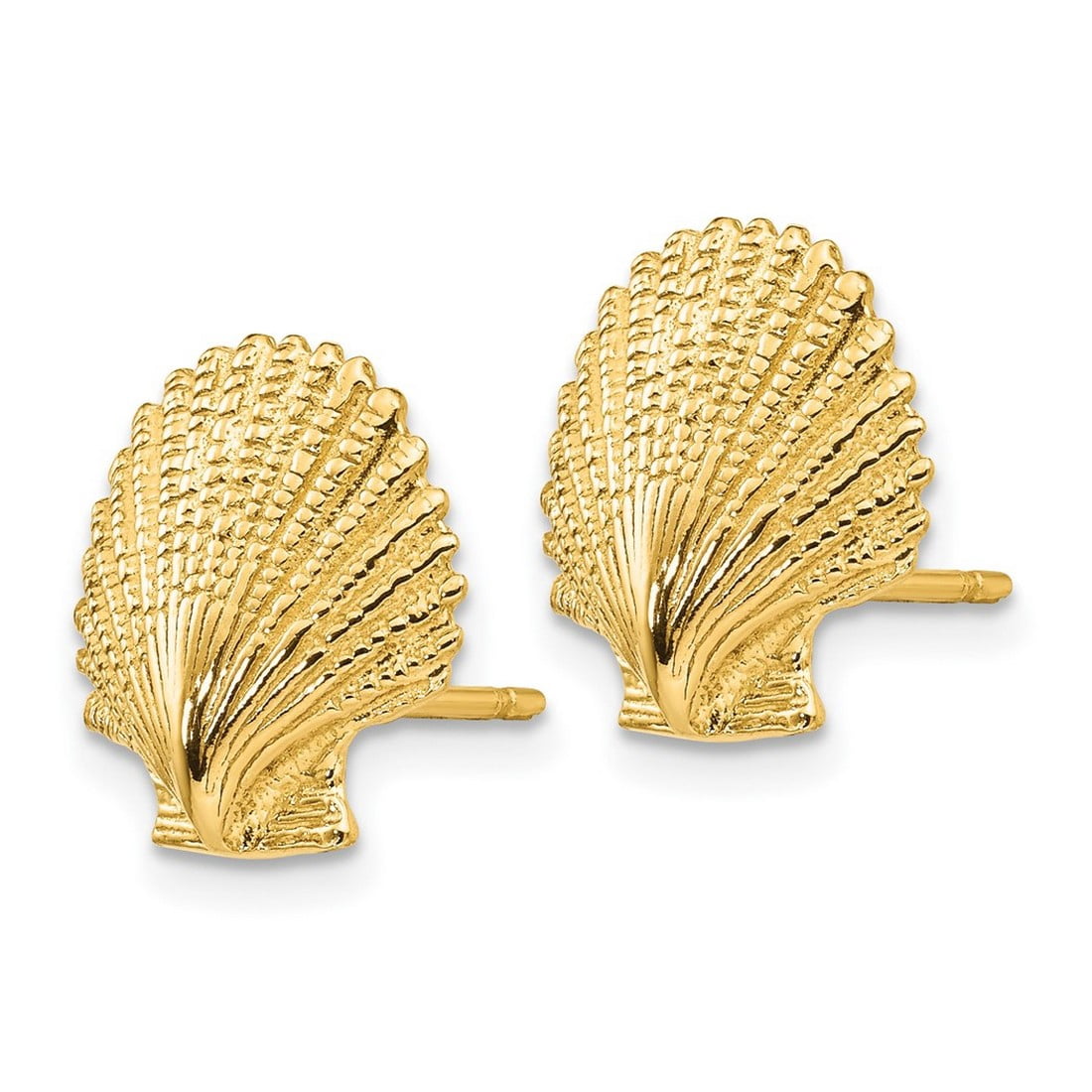 14k Yellow Gold Textured Polished Scallop Shell Post Earrings 13x13mm Wide Stud Earring for Women