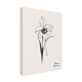 thumbnail image 2 of Grace Popp 'Annual Flowers XII' Canvas Art, 2 of 3