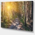 thumbnail image 2 of Thick Forest with Yellow Sun Rays, 2 of 3