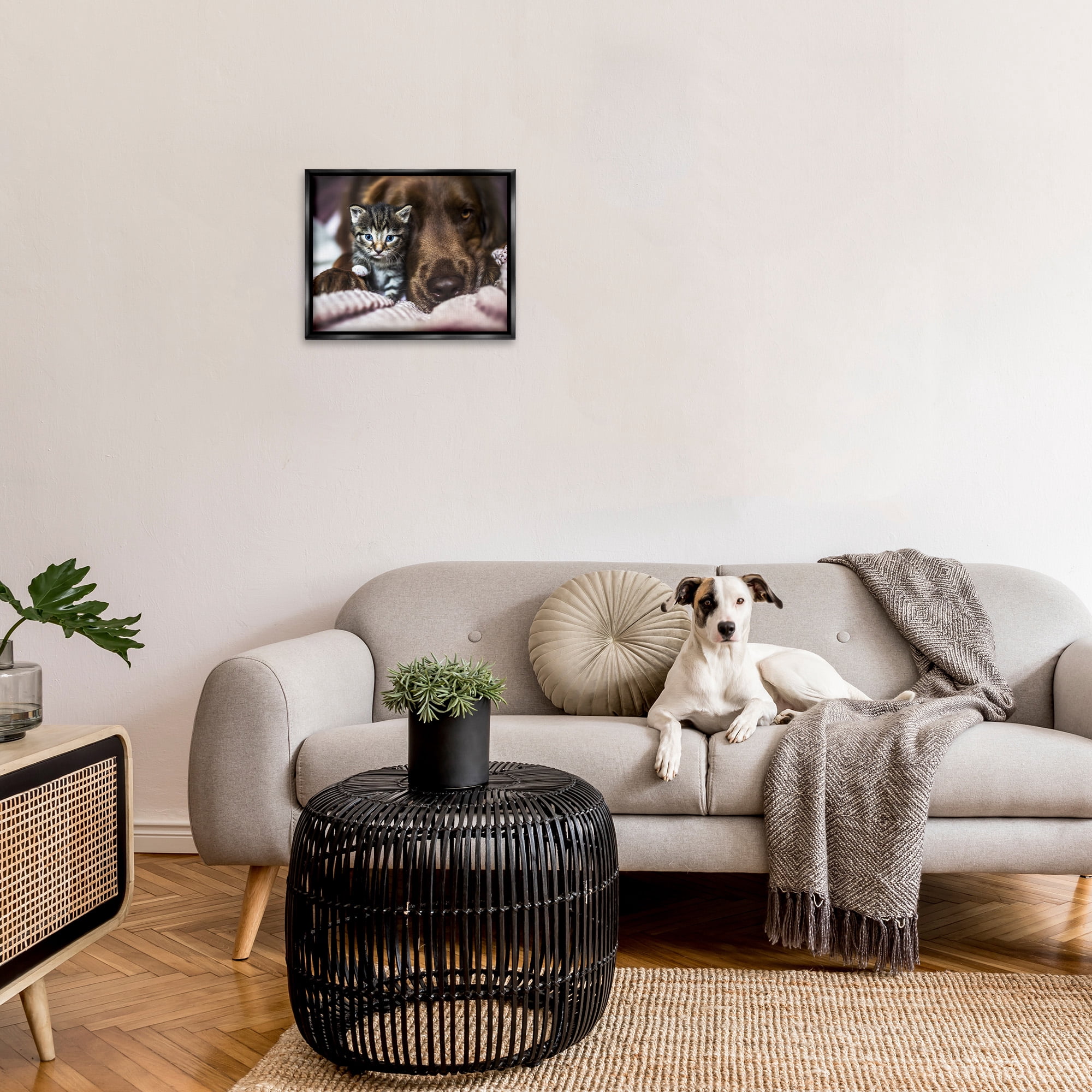 Stupell Industries Kitten & Dog Snuggling Animals & Insects Painting Black Floater Framed Canvas Art Print Wall Art, 21 x 17