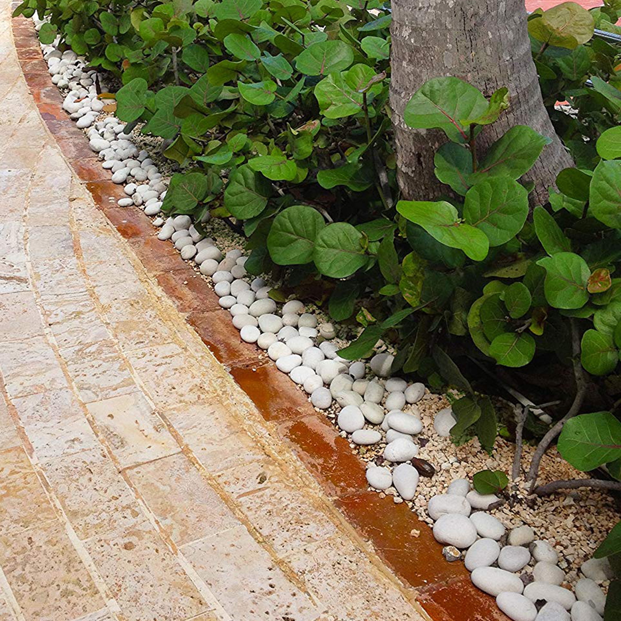 Rainforest Outdoor Decorative Natural Stone, Caribbean Beach Pebbles, White, 1-2", 2200lbs.