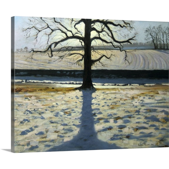 Great BIG Canvas | Andrew Macara Premium Thick-Wrap Canvas entitled Tree and Shadow, Calke Abbey, Derbyshire