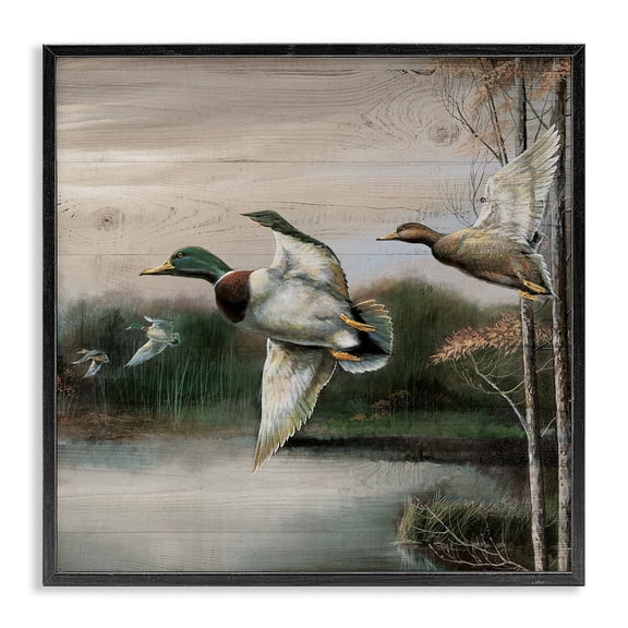 Stupell Industries Rustic Lodge Flying Ducks in Rustic Nature Black Framed Giclee Art, 12 x 12, by Ruane Manning