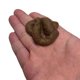 thumbnail image 1 of Divertido juguete de imitación de excremento de perro - Material TPR seguro, regalo de broma para amigos - Alta simulación y tacto suave, 1 of 5