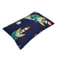thumbnail image 3 of Naloa Astronaut Dinosaur and Space Pillowcase, Throw Pillowcase, Wrinkle-Free, Stain-Resistant with Hidden Zipper for Bedroom Sofa - 20"x30", 3 of 9