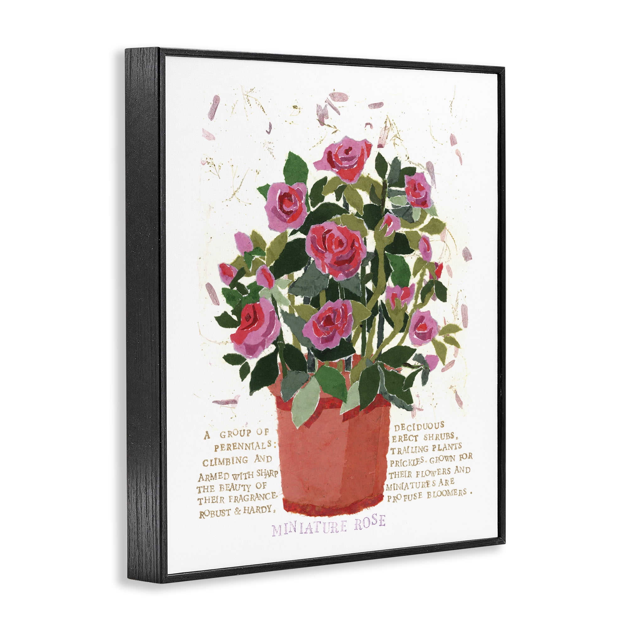 Stupell Industries Mini Roses Bouquet Botanical & Floral Painting Black Framed Art Print Wall Art, 11 x 14