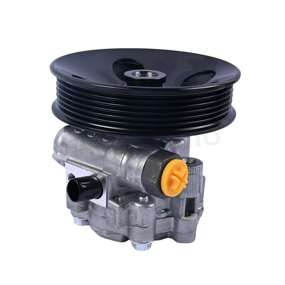 Power Steering Pump With Pulley Fits 2010-2017 Chevrolet Equinox & GMC Terrain 13505835 13576573