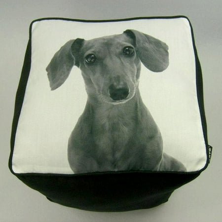lava Daschshund Cube Ottoman