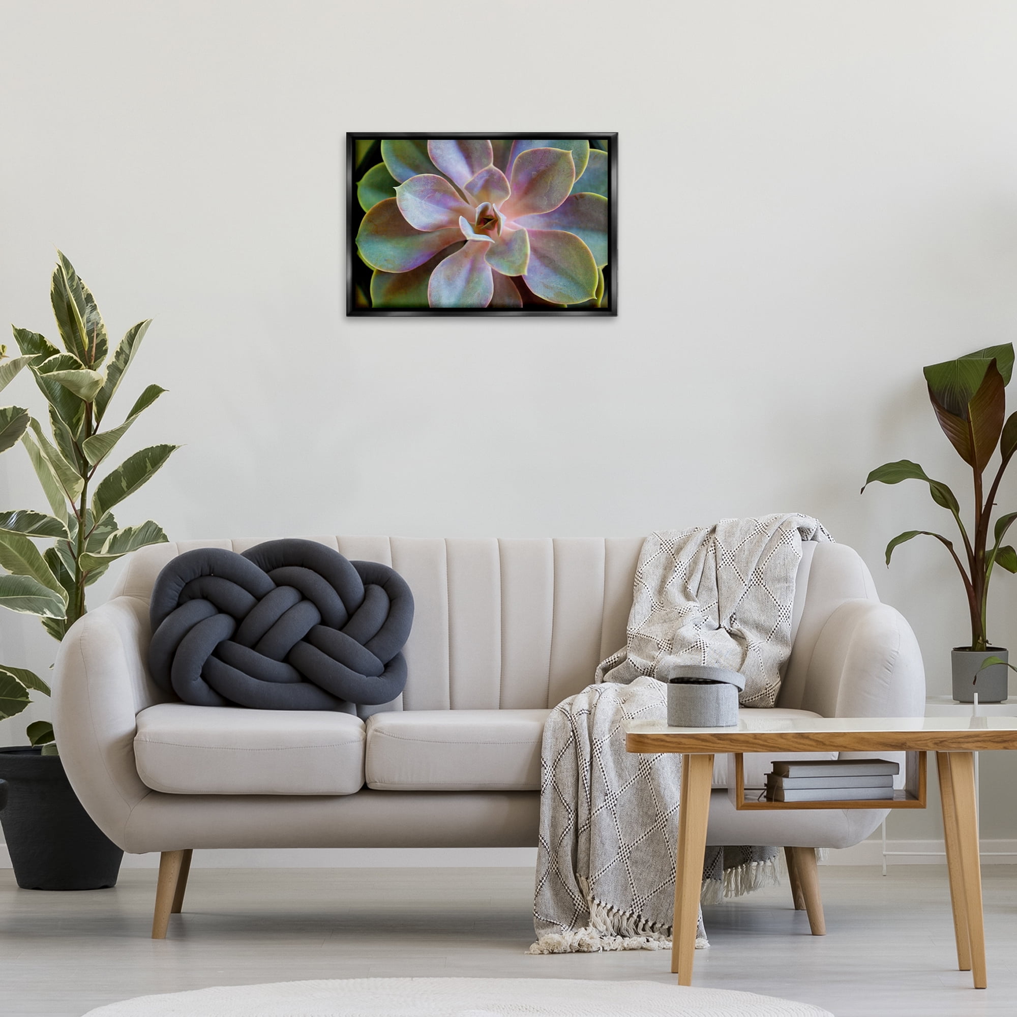 Stupell Industries Blooming Succulent Leaves Plants & Flowers Photography Black Floater Framed Canvas Art Print Wall Art, 25 x 17