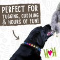 thumbnail image 3 of Juguete de Peluche Ardilla Lil Feller para Perros HuggleHounds Suave 20 cm, 3 of 6